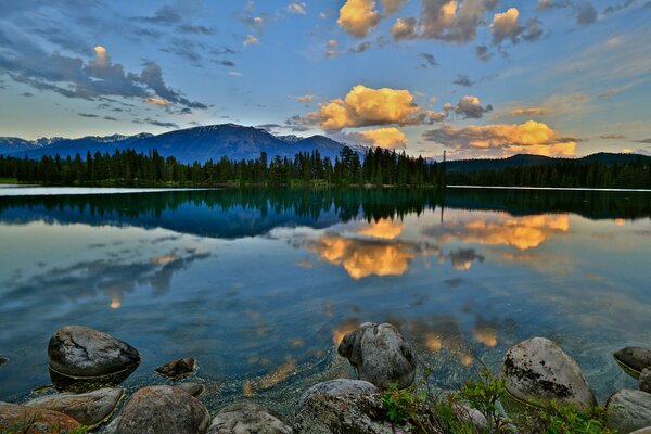 Forest and mountains near a lake with rocks