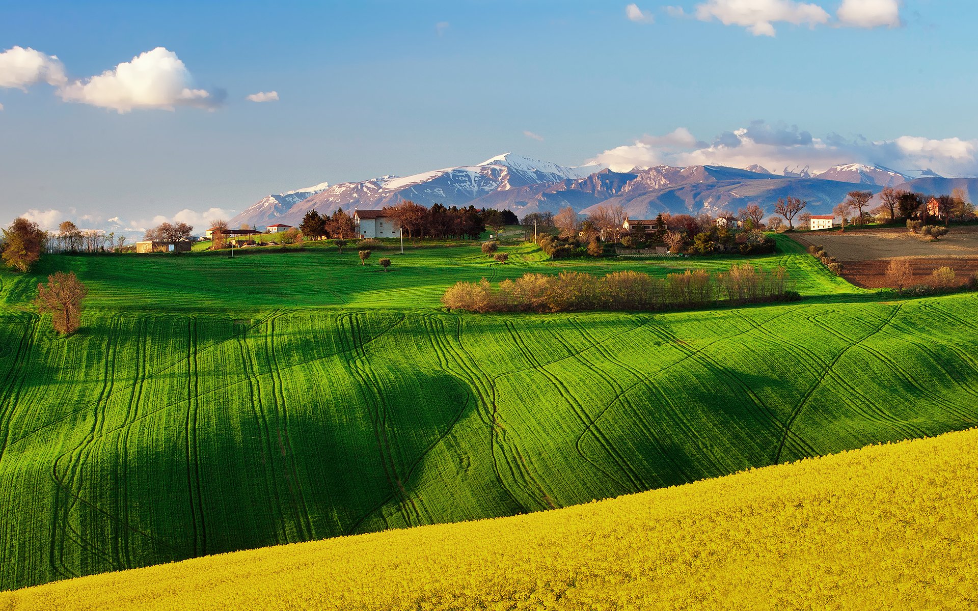 italy of the field spring april rapeseed sky