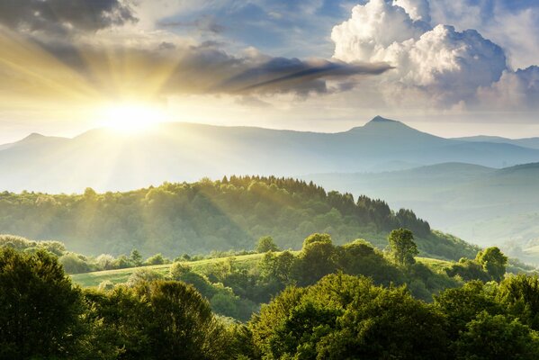Sunrise over the green hills