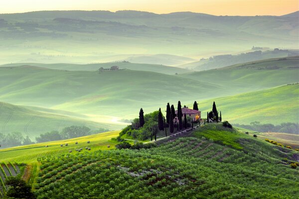 Morning dawn over the fields of Italy