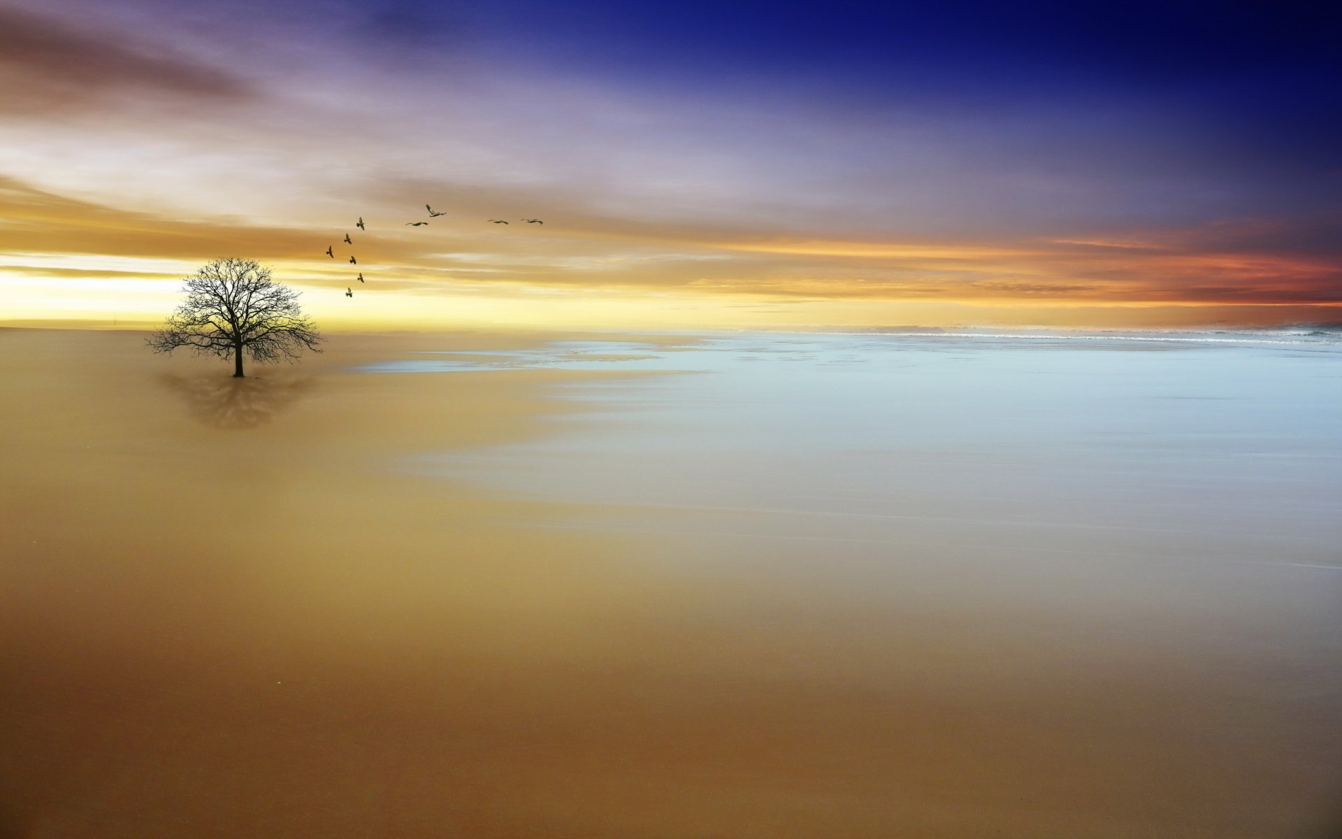 landscape background style