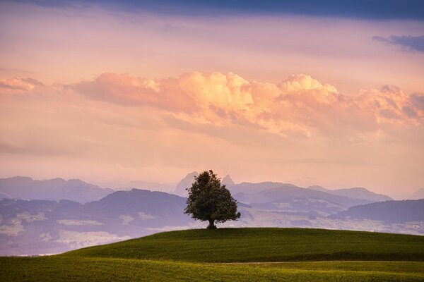 Mountain landscape. Beautiful clouds