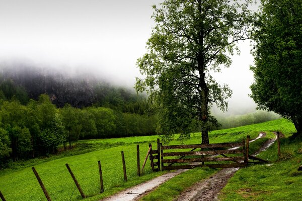 There is a fence and a gate in the field