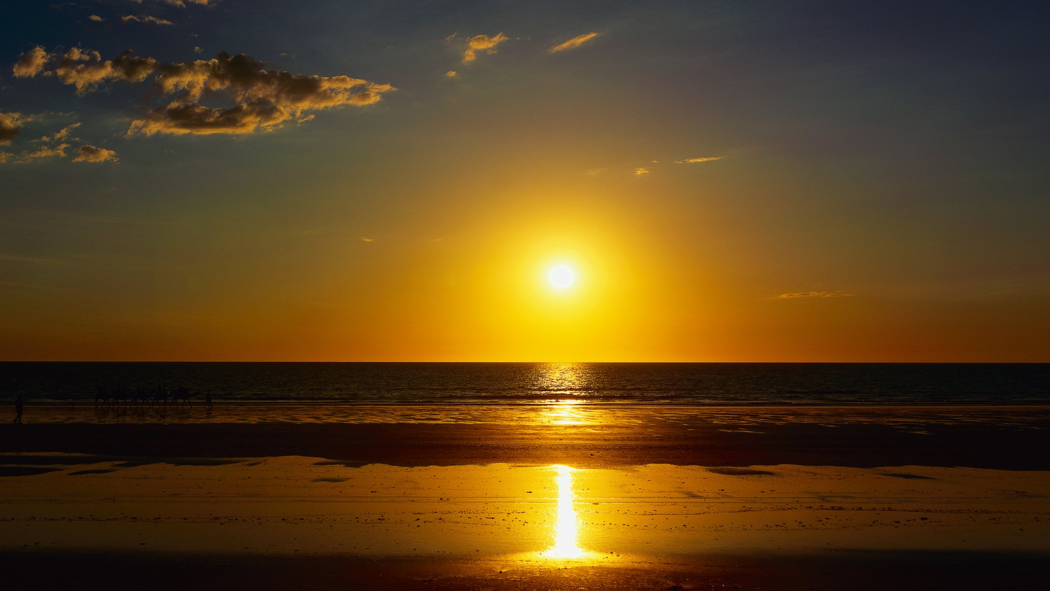 ea ocean beach sand summer sunset sun camels caravan nature landscape