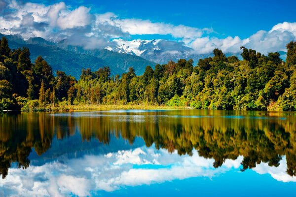 Lake forest and Mountains in New Zealand