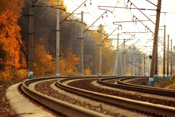 Landscape of the railway track in autumn