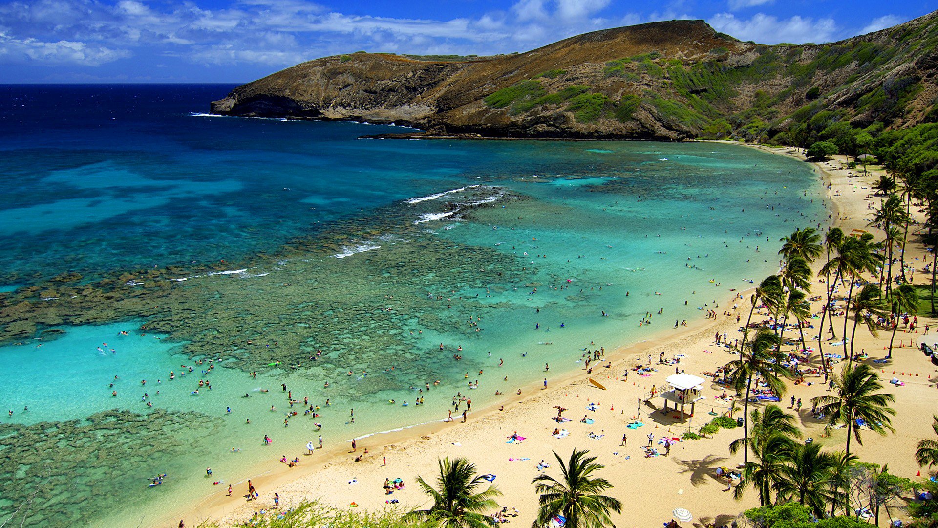 ky mountain sea palm beach people sport
