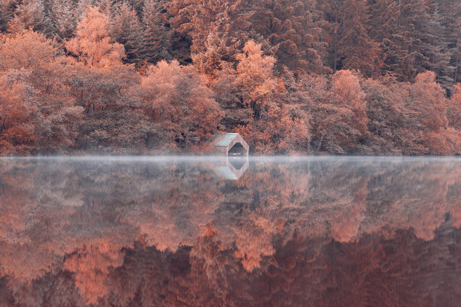 lope forest tree lake reflection
