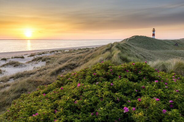 Sunrise over the sea