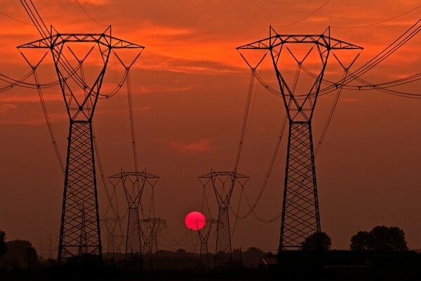 Silhouettes of power poles at sunset