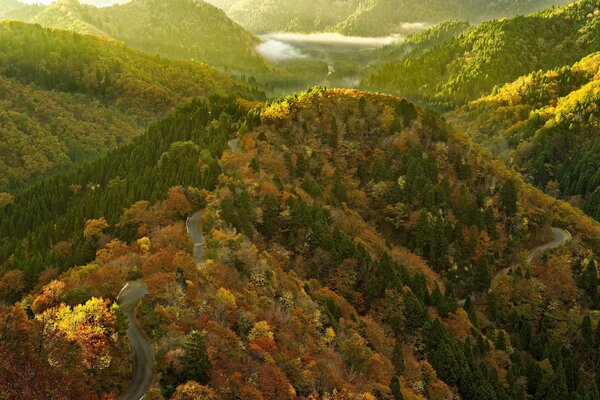 Roads in the mountains in autumn