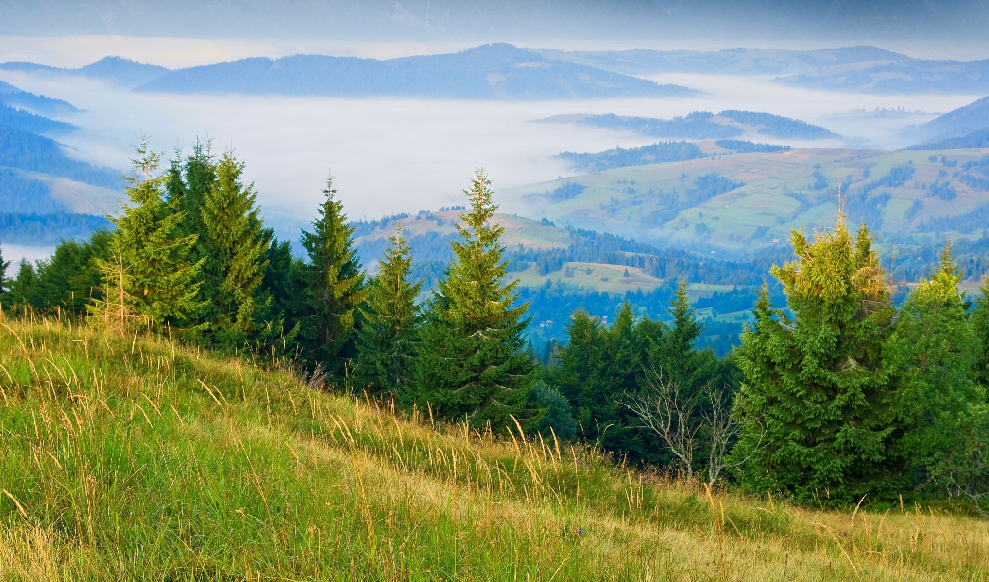 hills fog gra