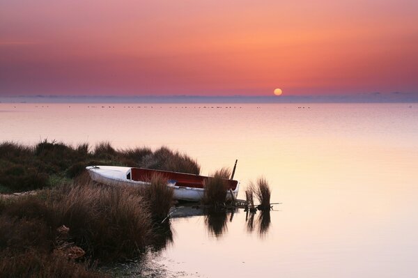 Boat at the shore at sunset