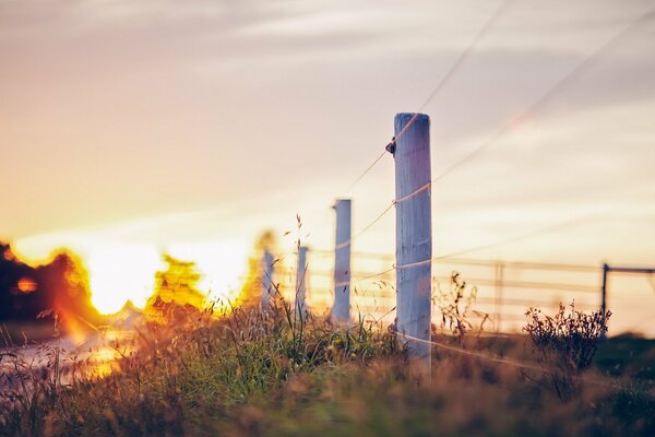 A fence near the road. Landscape