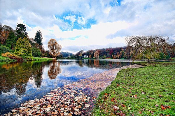 England Wiltshire pond and trees