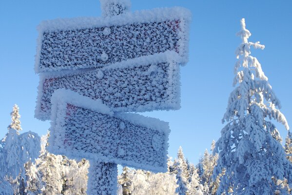 Snow-covered road signs in the forest