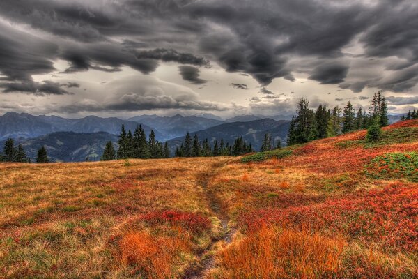 Autumn mood. Cloudy weather