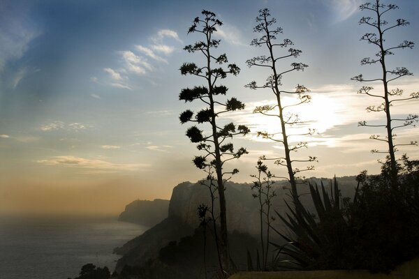 Cliffs in the fog on the coast of Spain