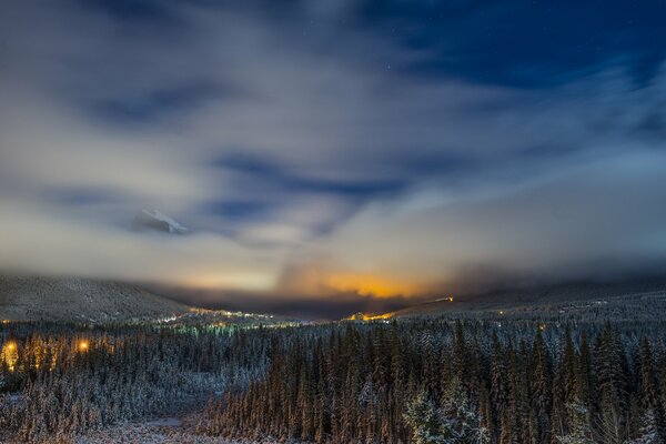 Canadian winter forest at night
