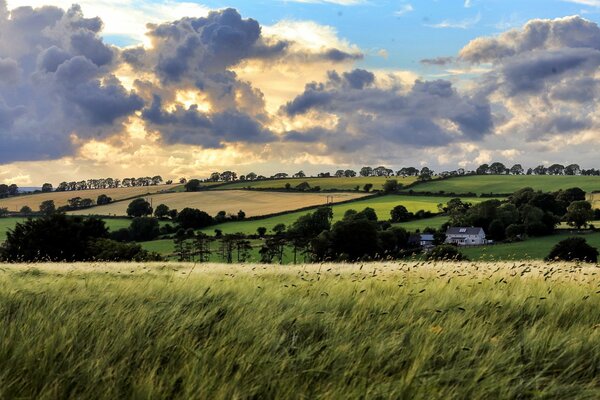 Summer landscape with incredibly beautiful clouds in the sky