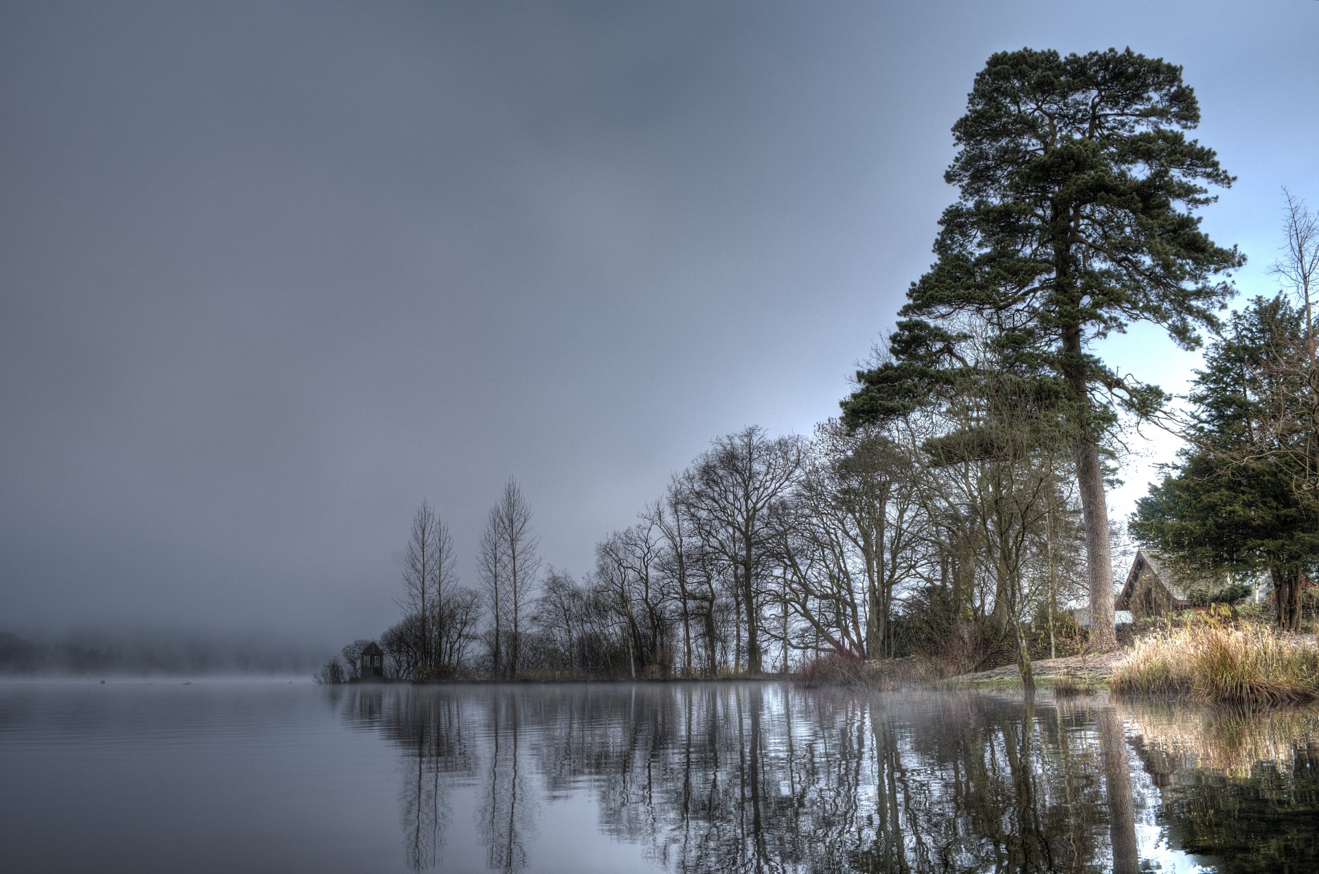 ky water tree house fog lake river