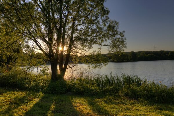 Sunrise on the lake with bright rays of the sun
