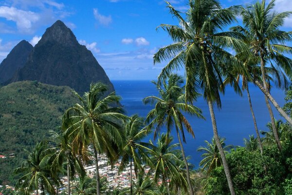 Caribbean Python Mountain in Saint Lucia