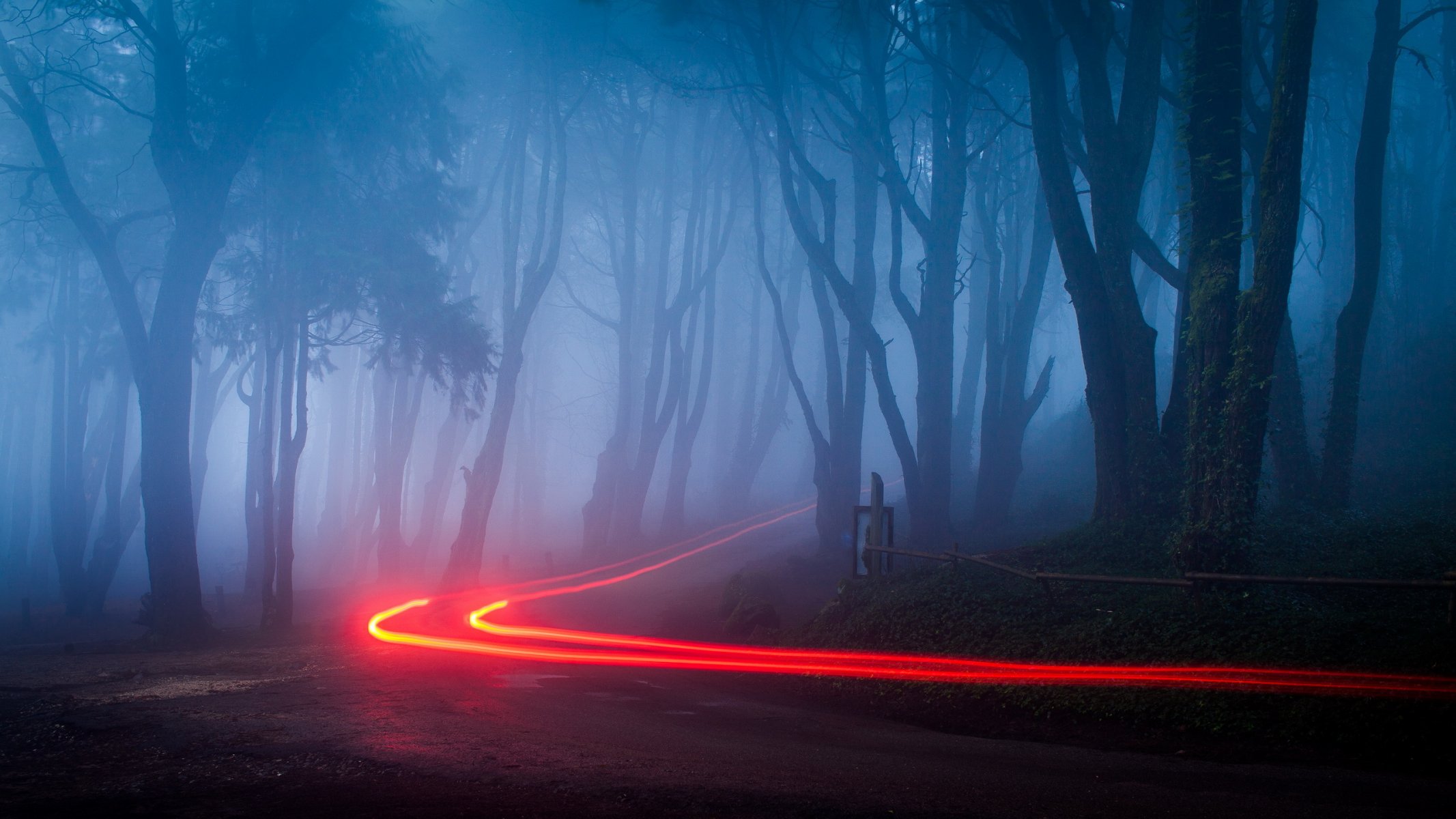 night road lights landscape
