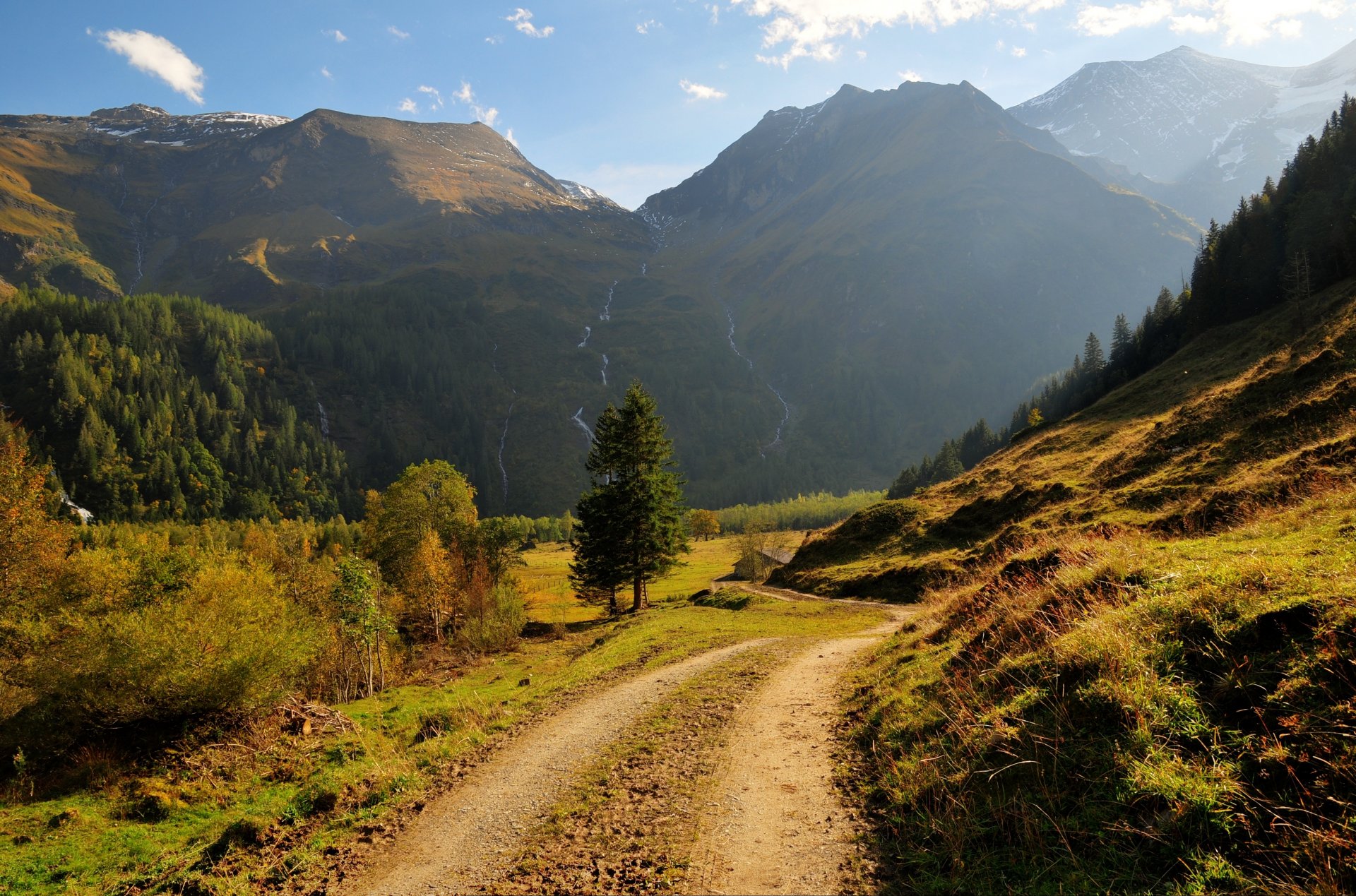 mountain waterfalls forest tree grass road