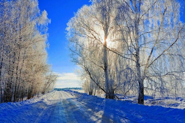 Sparkling winter azure