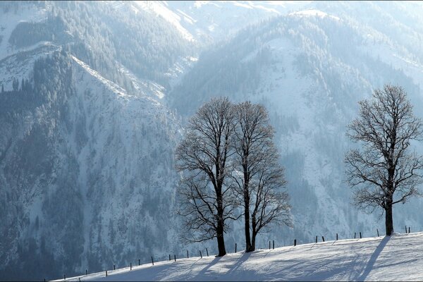 Winter landscape - mountains and hills