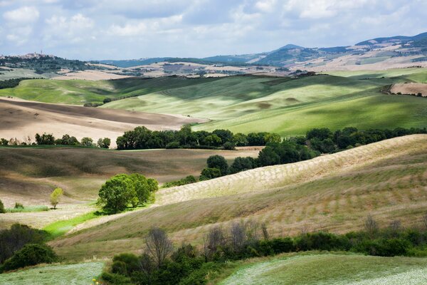 Nature in Tuscany hills fields